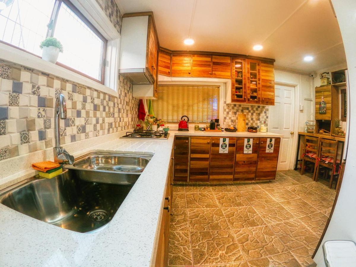 Green Hostel Valdivia Dış mekan fotoğraf